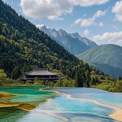 自選王大食堂張用戶圖片