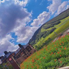 DA WEI ROAST WHOLE LAMB User Photo