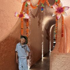 Ola Cafe - 31 Nguyễn Hữu Huân User Photo