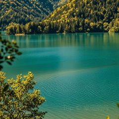 GOLD GARDEN User Photo