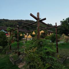 枇杷熟了coffee User Photo