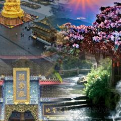 Dongmendoufunao User Photo