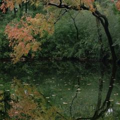 欢乐蟹庄·精品农家乐(阳澄湖莲花岛店) User Photo