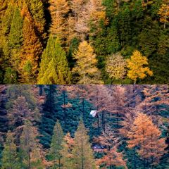 老李家燒烤·安吉網烤（安吉店）張用戶圖片