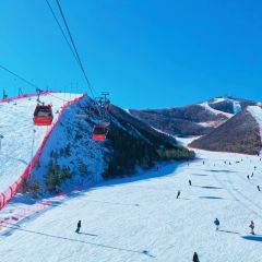 大偉烤全羊（崇禮直營店）用戶圖片