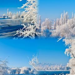 古兰丹姆冰激凌店 User Photo