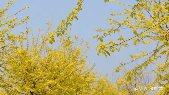 People's Park (West to Xincheng Office Mass Work Station)