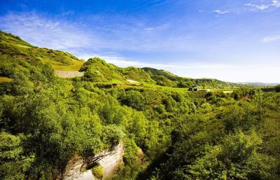 Tianjing Gorge Scenic Area