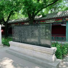 回真楼(东门店) User Photo