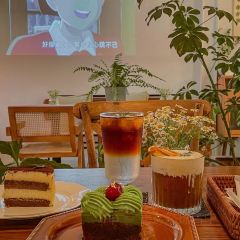 樹Cafe張用戶圖片