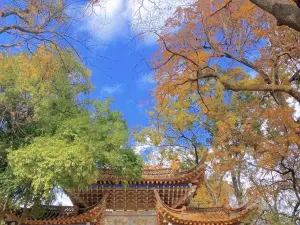 九龍池