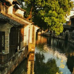 THE FOREST LIVE MUSIC 여행 사진