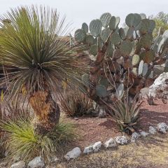 La Gruta User Photo