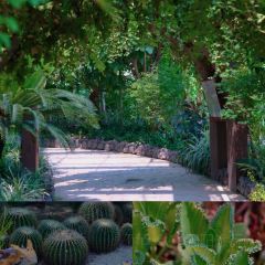 杨五龙虾(兰亭熙园店) 여행 사진