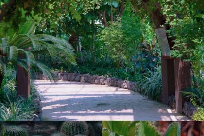 杨五龙虾(兰亭熙园店)