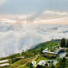 Pino Latte Resort & Cafe張用戶圖片