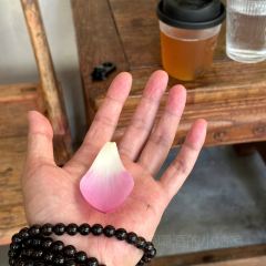 王啡張用戶圖片