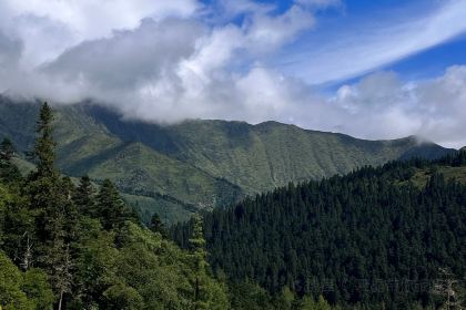 黄龙风景区餐厅