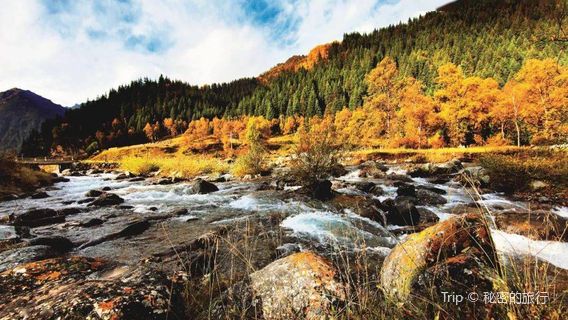 Menyuan Xianmi Forest Farm