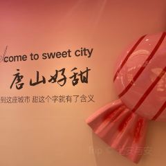 八方后身·川凤源麻辣鸡块(总店) User Photo