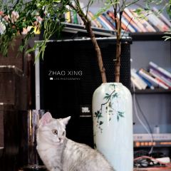 肇兴无忧咖啡馆 User Photo