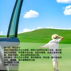 HAI JI DAO ZI ZHU CAN TING User Photo