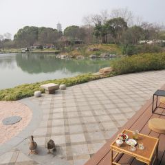 隐居茶苑 User Photo