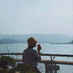 新月集星舟咖啡馆 User Photo