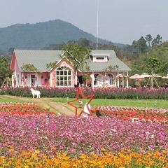 罗浮山天然谷(那里花开店) User Photo