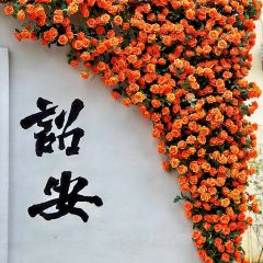 五一豆浆 User Photo