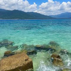 虎婆香草鴨·海南大排檔（清水灣美食街店）張用戶圖片