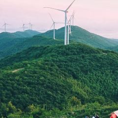 黃栗樹生態美食土菜館張用戶圖片