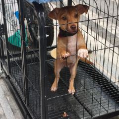 武漢風貌巴公邸飯店·巴公小酒館（黎黃陂路）張用戶圖片