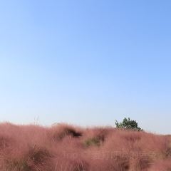 杜家土菜馆(长兴店) User Photo