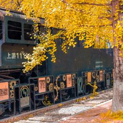 XIEXIAOJIU HOTPOT User Photo