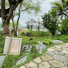 小姨家常菜張用戶圖片