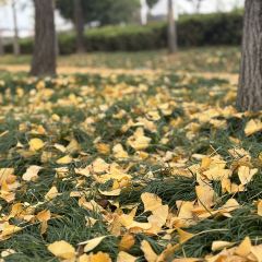 袁姐萝卜饺子(中山路店) User Photo