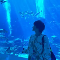 徐福记湛江烤生蚝 User Photo