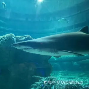 威威天地