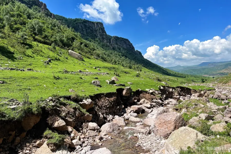 East Dianziliang Grassland