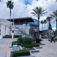 Lazy Dog Restaurant & Bar User Photo