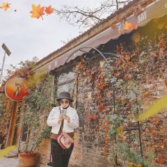 Fendou1979 (shengfuqianjie) User Photo