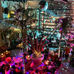 50mil Cocktail&whisky pub User Photo