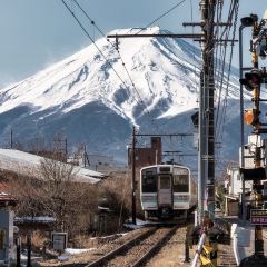 Fujiyama Cookie User Photo