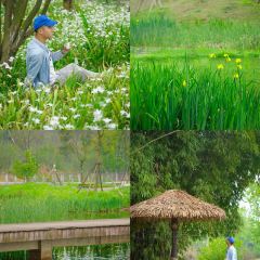 DONG PO SHAN ZHUANG TIAN YUAN SHENG TAI HUO GUO User Photo