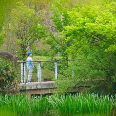 DONG PO SHAN ZHUANG TIAN YUAN SHENG TAI HUO GUO User Photo
