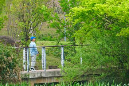 DONG PO SHAN ZHUANG TIAN YUAN SHENG TAI HUO GUO