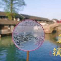 THE FOREST LIVE MUSIC 여행 사진