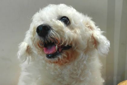 三木咖啡(天一店)