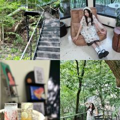 青芷森林·咖啡店 User Photo